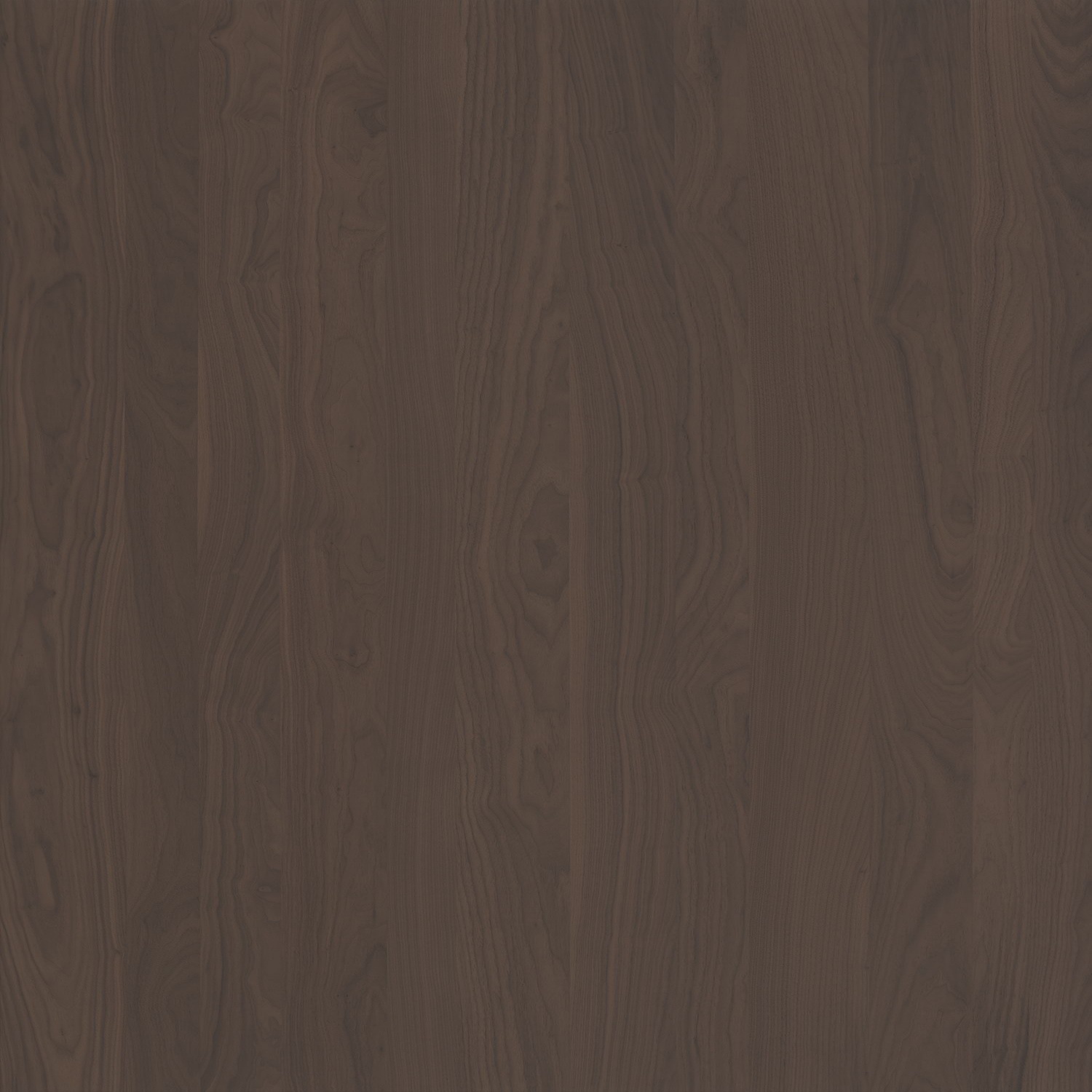  Nuez especiada-WNCR7-5068