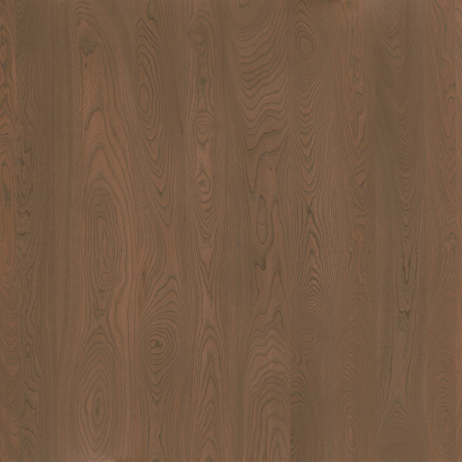 Golden Elm ELCR5-3072