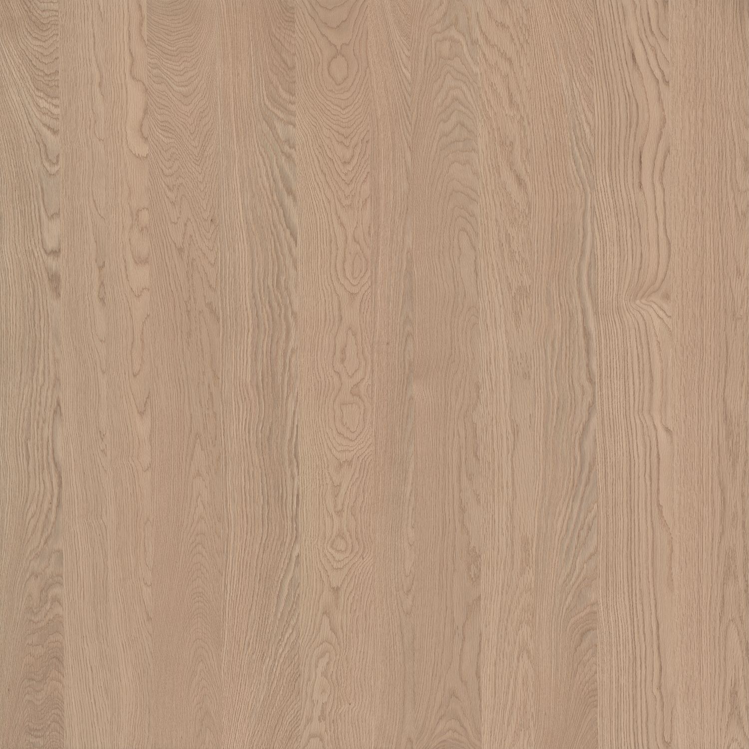 Golden Oak WOCR5-3025