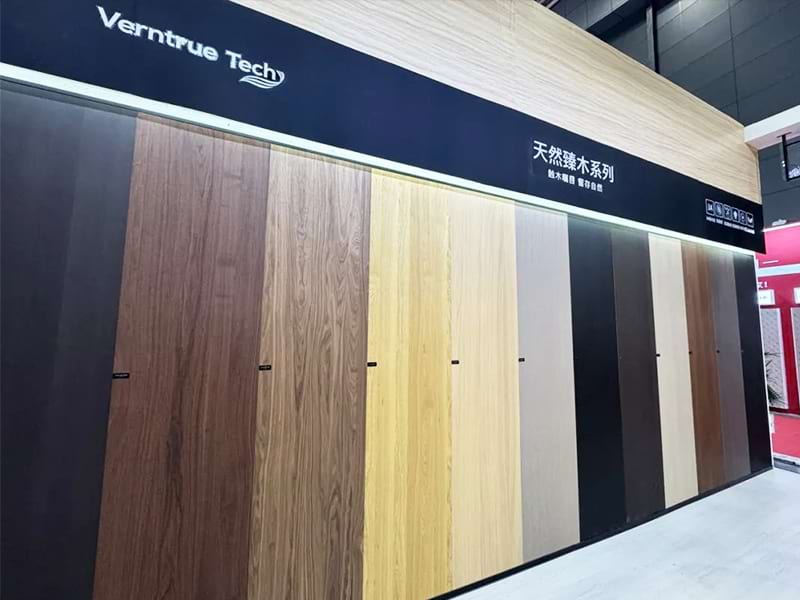 Golden Chameleon Showcases Innovative EB Series At The 15th Changsha Construction Expo
