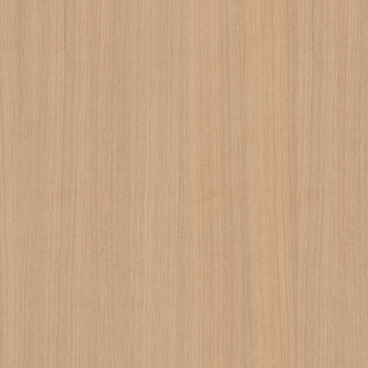 Warm Oak WOSY5-1013